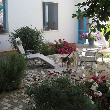 מונסרטו B&B-Le Rondini מראה חיצוני תמונה
