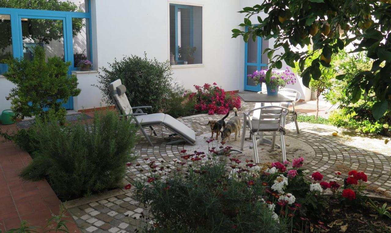 מונסרטו B&B-Le Rondini מראה חיצוני תמונה
